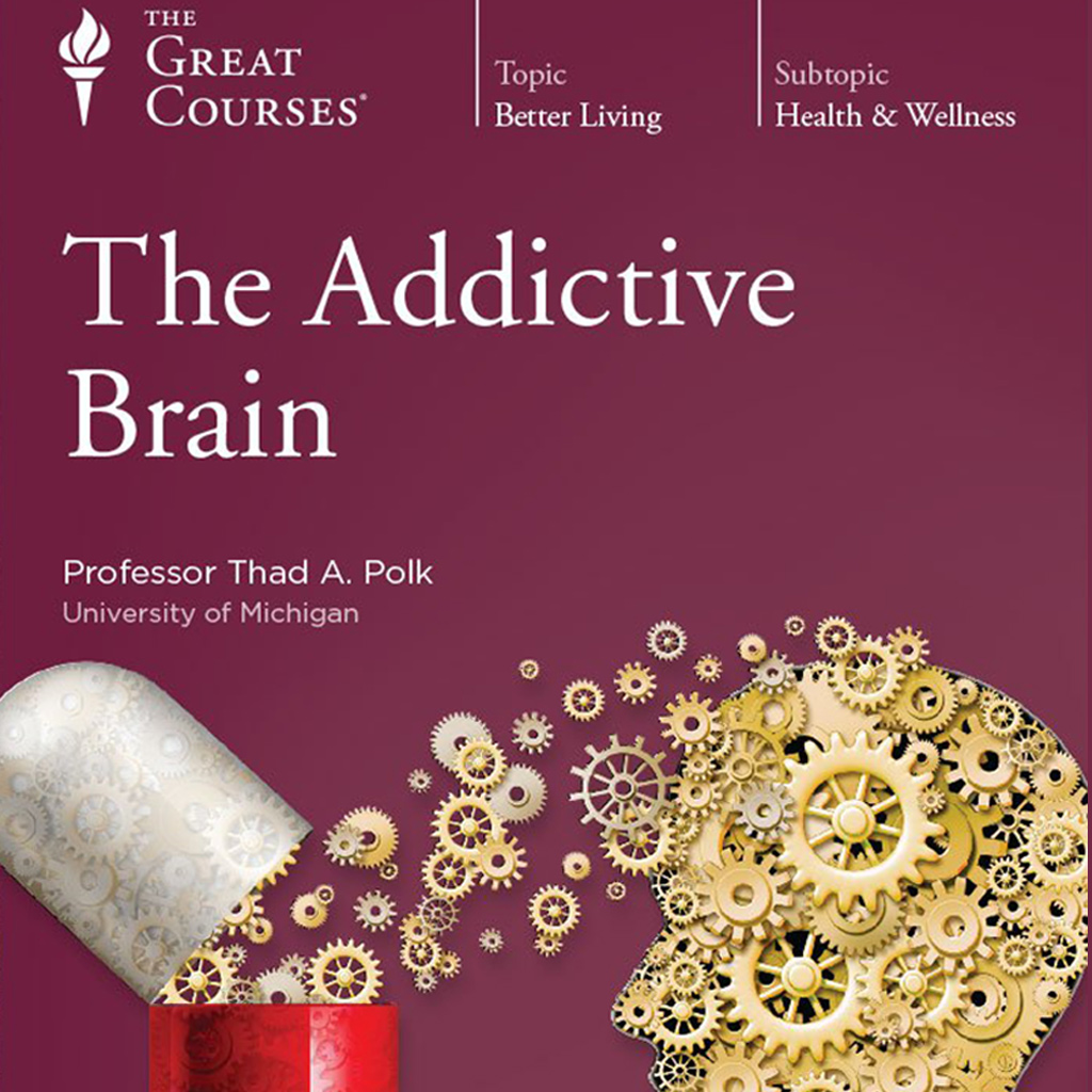 The Addictive Brain